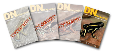 DN lidmaatschap SUPERDEAL 2025