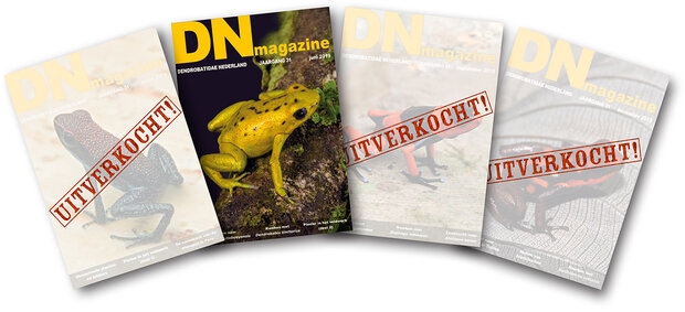 DN lidmaatschap SUPERDEAL 2025