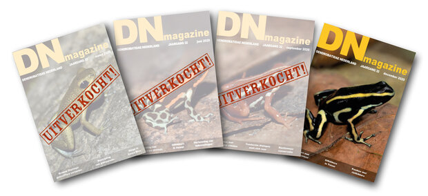 DN lidmaatschap SUPERDEAL 2025